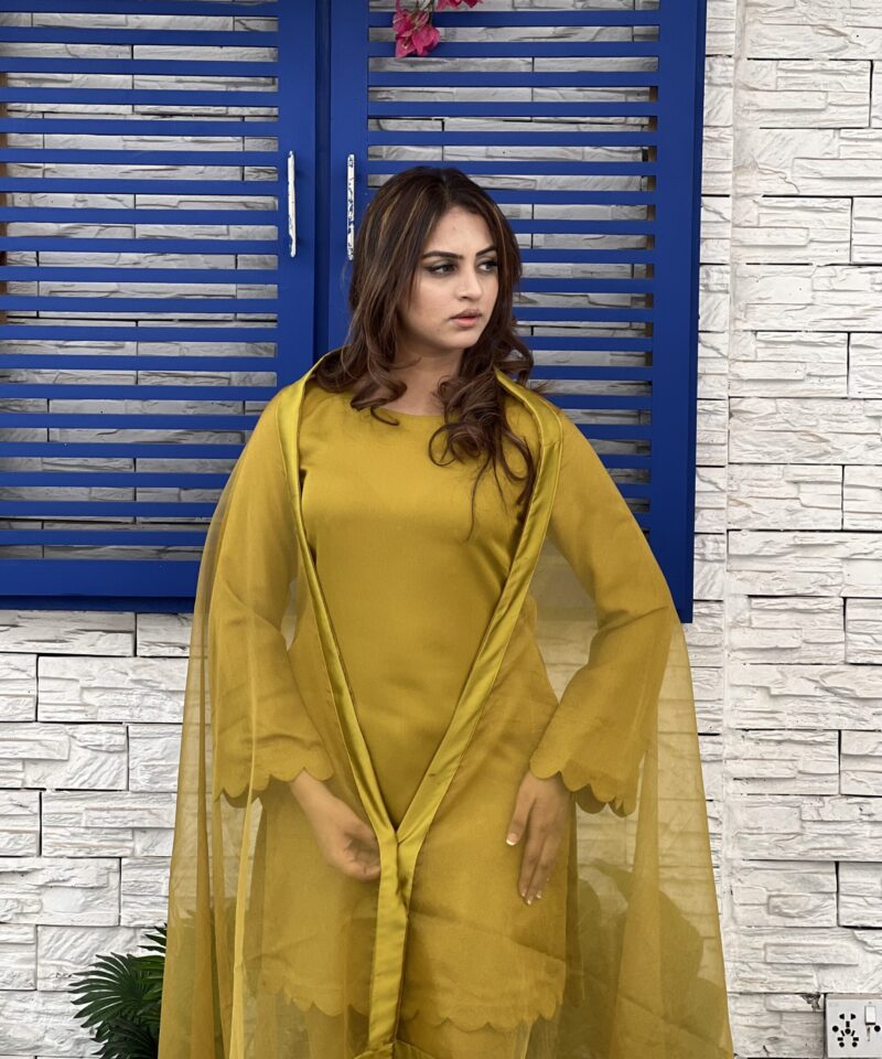 3-piece crepe georgette suit with organza dupatta – semi-formal festive women’s outfit