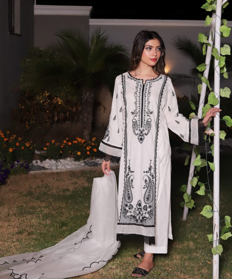 3 piece embroidered outfit for women with lace on sleeves and daman, straight trouser, and scalloped organza dupatta