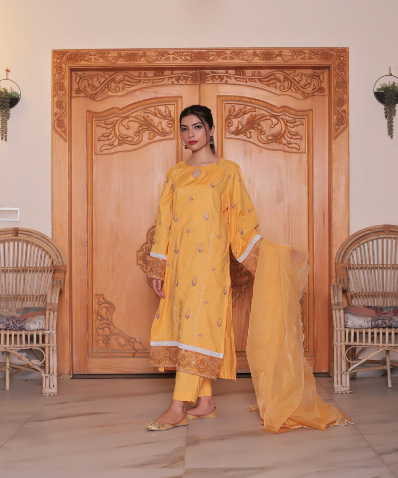 3 piece embroidered outfit for women with lace on sleeves and daman, straight trouser, and scalloped organza dupatta