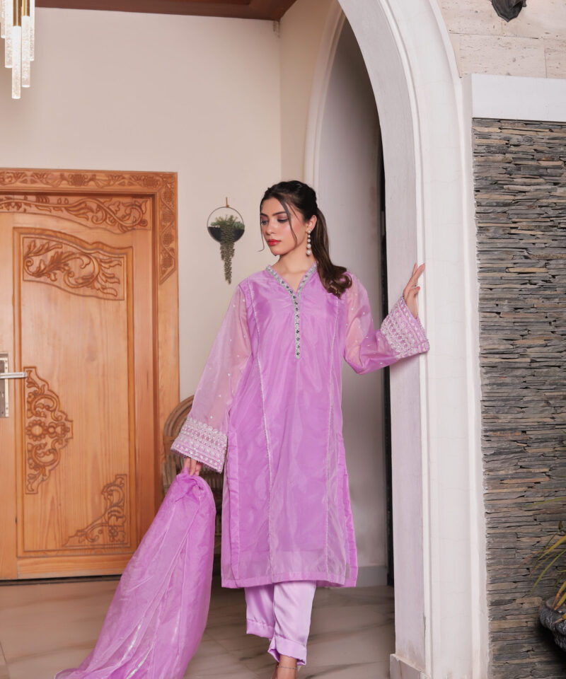 Pure organza frock with embroidered sleeves, embellished neckline, raw silk trousers, and soft organza dupatta
